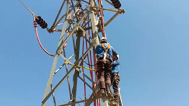 Fırat EDAŞ, kesintisiz enerji arzını ve leylekleri güvence altına alıyor