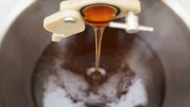 Gerçek balın maliyeti ne kadar?