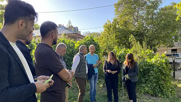 Gevaş fasulyesi değerini korumaya devam ediyor