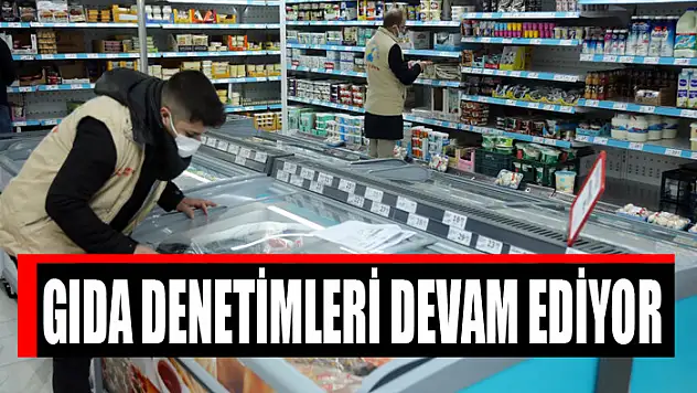 GIDA DENETİMLERİ DEVAM EDİYOR