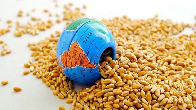 Gıda krizi için uyarı geldi! 60 bin ton tahıl ürünü yakılmış