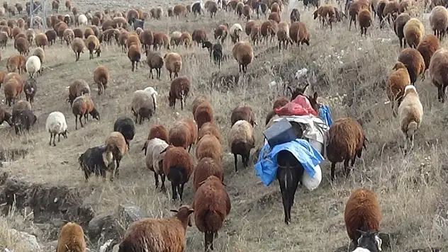 Göçerlerin zorlu yolculuğu başladı