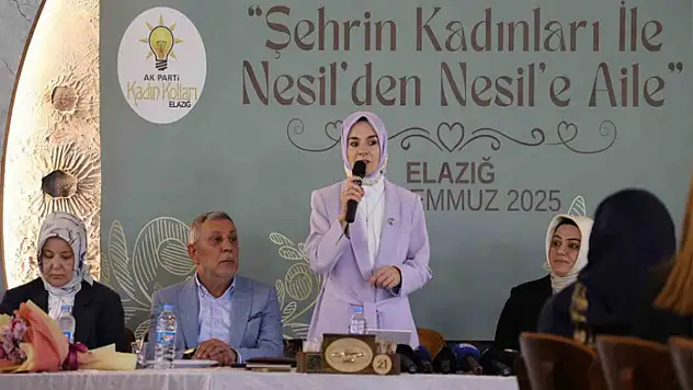 Göktaş: Türkiye'de kadın hakları konusunda devrim niteliğinde icraatlar hayata geçirildi