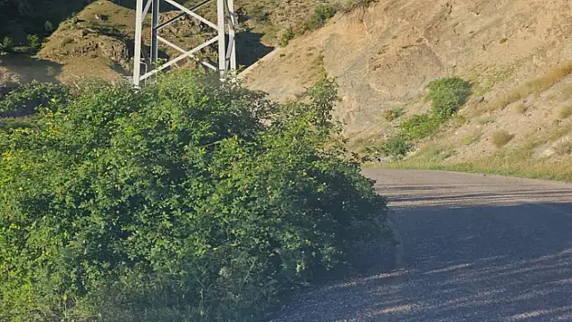Görmezden gelinen tehlike