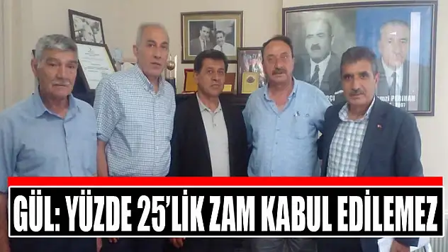 Gül: Yüzde 25'lik zam kabul edilemez