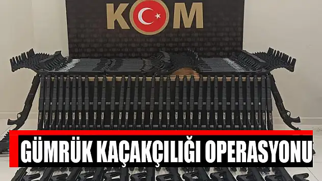 Gümrük kaçakçılığı operasyonu