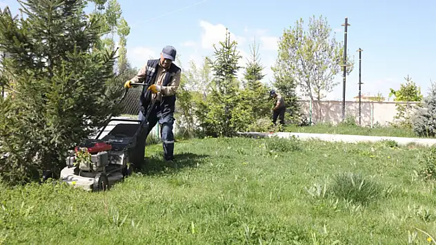 Gürpınar Belediyesi'nden bakım onarım çalışmaları