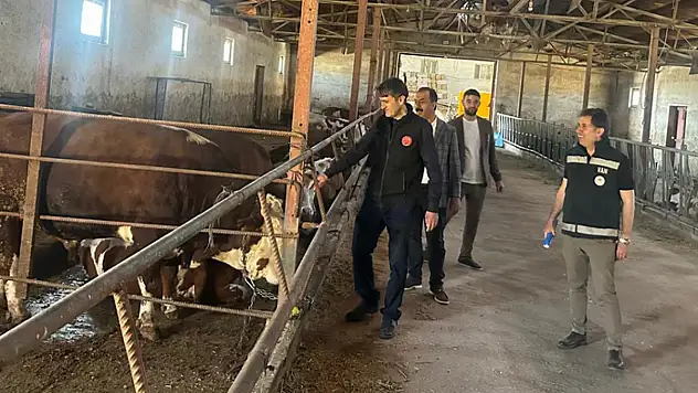 Gürpınar'da büyükbaş hayvan işletmesine destek ziyareti