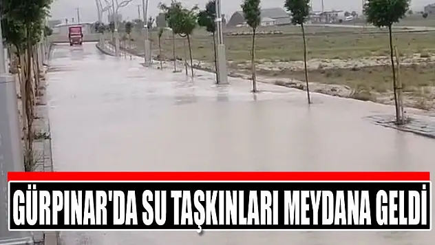 Gürpınar'da su taşkınları meydana geldi