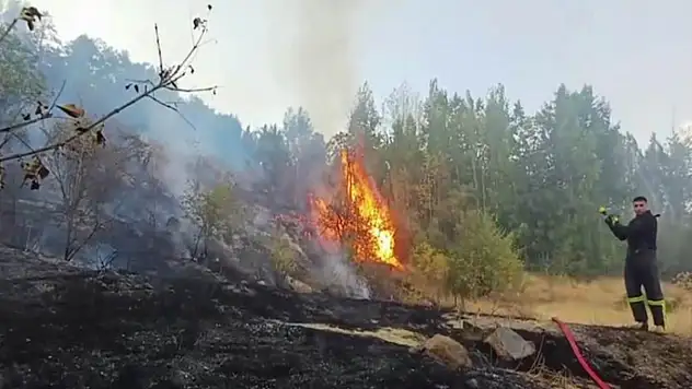 Hakkari'de 3 farklı bölgede yangın