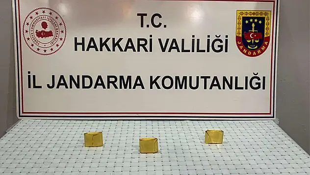 Hakkari'de 3 kilo altın ele geçirildi