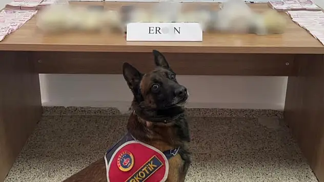 Hakkari'de eroin ele geçirildi