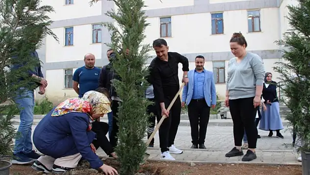 Hakkari'de fidan dikimi