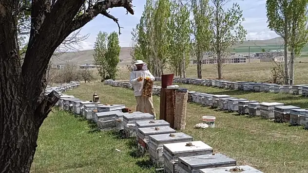 Hakkâri'de kırsala 38 milyon TL hibe desteği