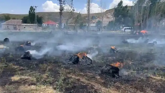 Hakkari'de yaklaşık bin 500 bağ ot kül oldu