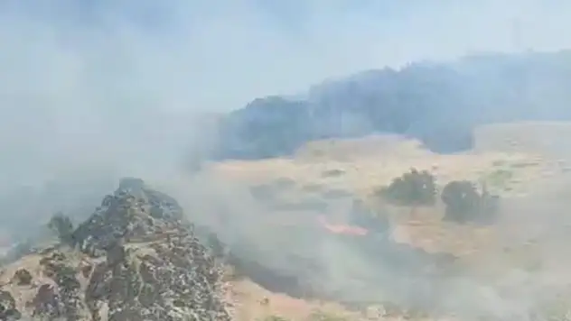 Hakkari'deki orman yangınlarında askerler ve köylüler seferber oldu
