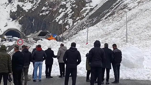 Hakkari-Van kara yoluna çığ düştü