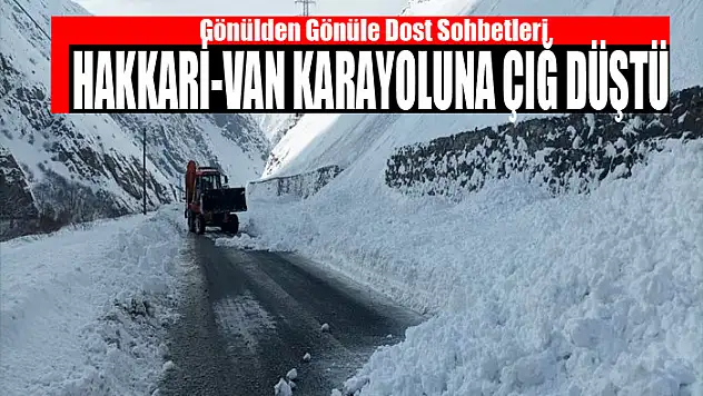 Hakkari-Van karayoluna çığ düştü