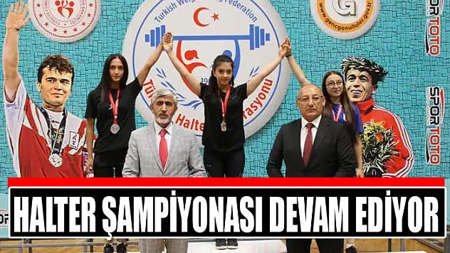 Halter Şampiyonası devam ediyor