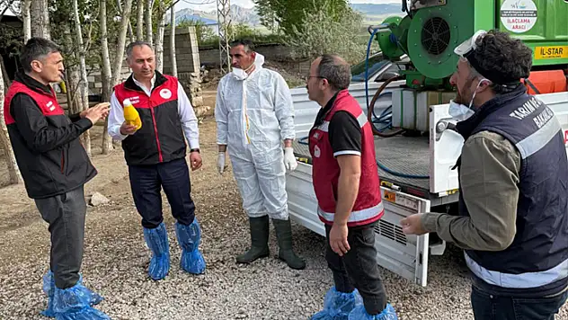 Hayvan hastalıklarıyla mücadele için sağlık taramaları gerçekleştirildi
