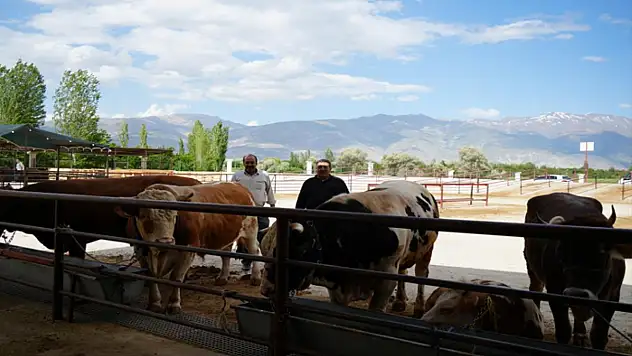 Hayvan pazarı geçici süreyle kapatıldı
