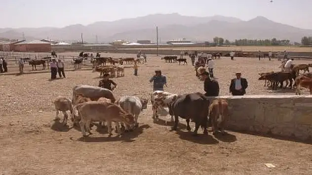 HAYVAN SATIŞI DURMA NOKTASINDA
