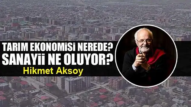 Tarım ekonomisi nerede? Sanayii ne oluyor?