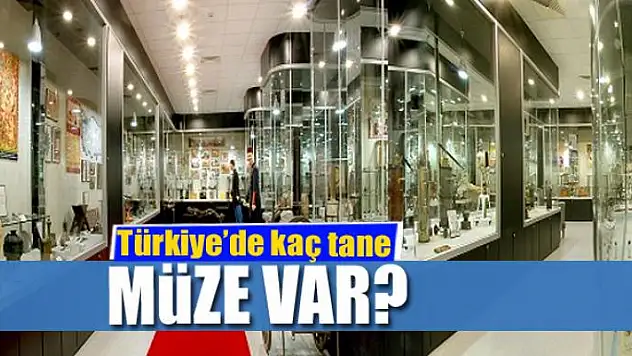 Türkiye'de kaç tane müze var?