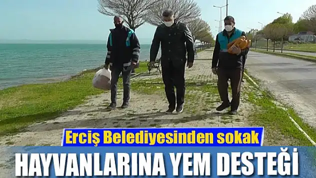 Erciş Belediyesinden sokak hayvanlarına yem desteği