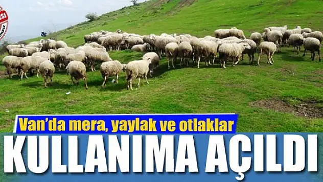 Van'da mera, yaylak ve otlaklar kullanıma açıldı