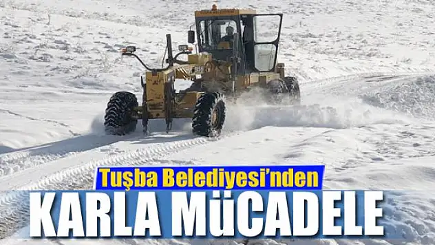 Tuşba Belediyesi'nden karla mücadele
