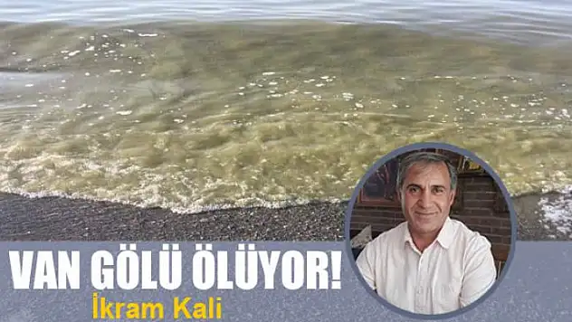 Van Gölü ölüyor!