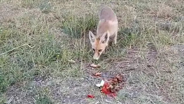 İlhan öğretmenden anlamlı davranış