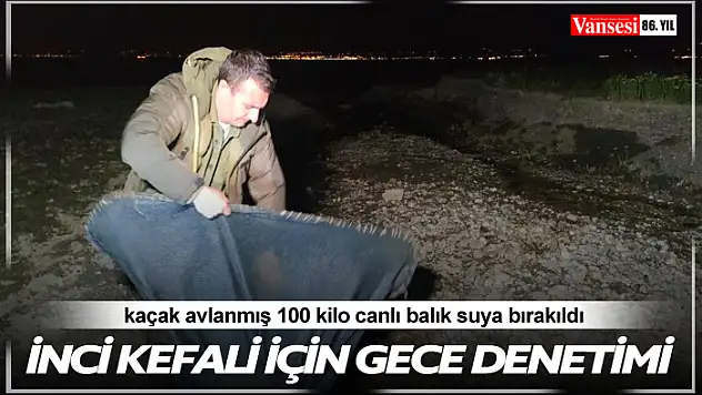 İnci kefali için gece denetimi