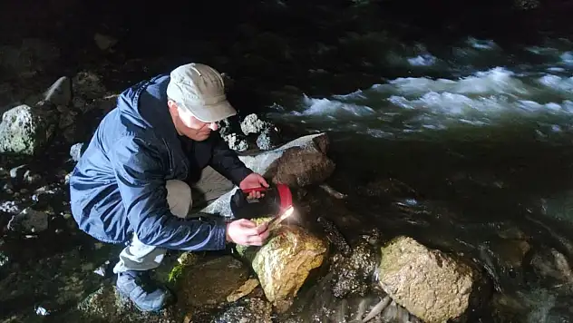 İnci kefalinin gece yolculuğu başladı