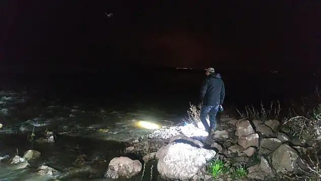 İnci kefalinin tatlı sulara göçü başladı