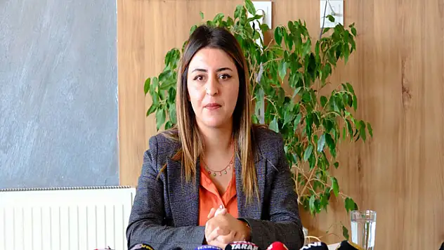 İpekyolu Belediye Meclisi Uzunay'ı seçti