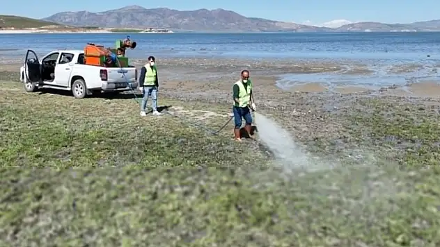 İpekyolu'nda ilaçlama çalışması