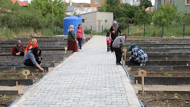 İpekyolu'nun ilk kent bostanında kadınlara sertifikalı eğitim