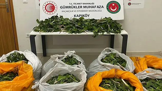 İran uyruklulara para cezası