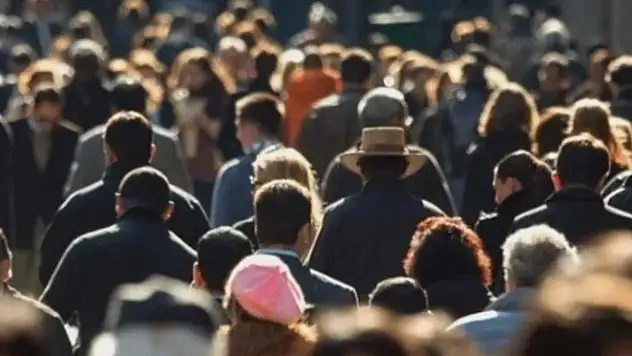 İşsizlik oranı 2024 yılında yüzde 8,7 oldu