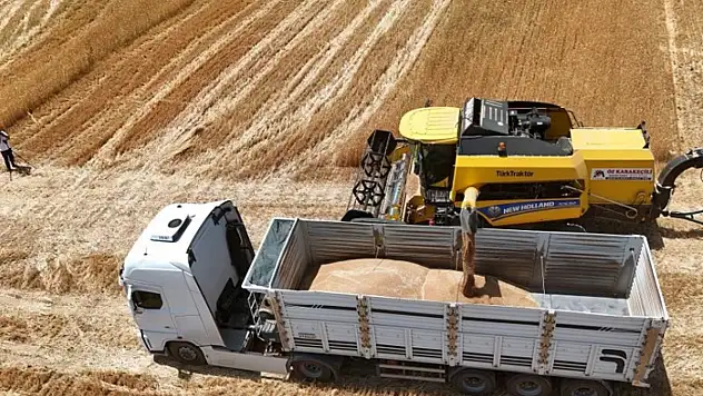 İthalat açıklaması bile arpanın ateşini düşürmedi