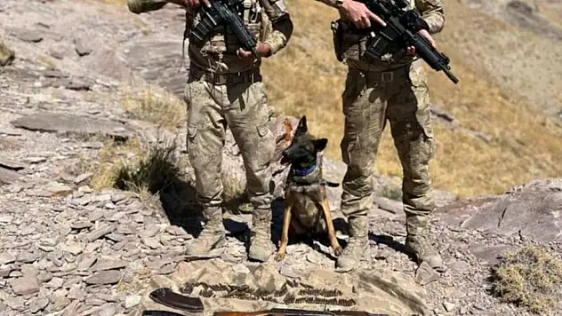 Jandarma Van'da çok sayıda silah ve mühimmat ele geçirdi