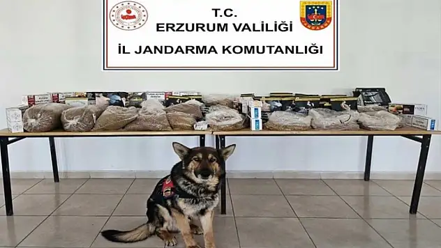 Jandarmadan kaçakçılara operasyon