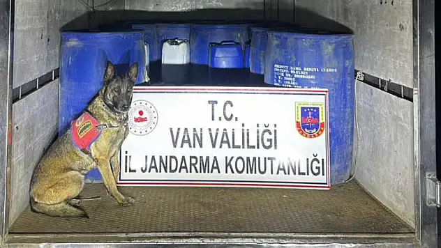 Jandarmadan operasyon