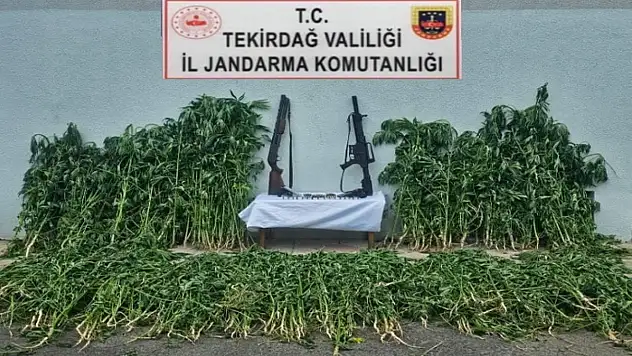 Jandarmadan uyuşturucu ve silah operasyonu