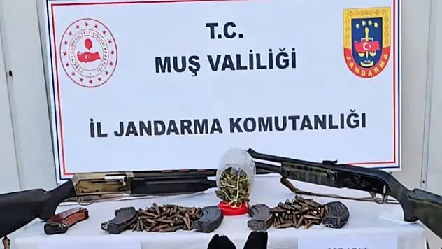 Jandarmadan uyuşturucu ve silah operasyonu