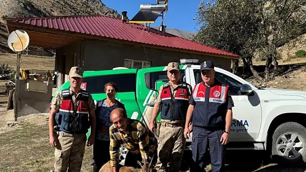 Jandarmadan yaralı yaban keçisine yardım eli