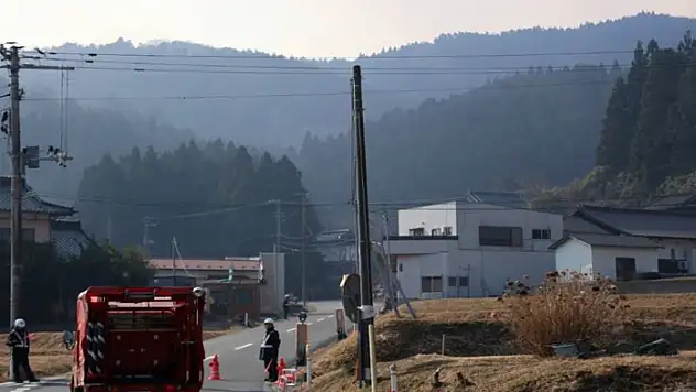 Japonya'daki orman yangınında 2 bin 100 hektarlık alan küle döndü