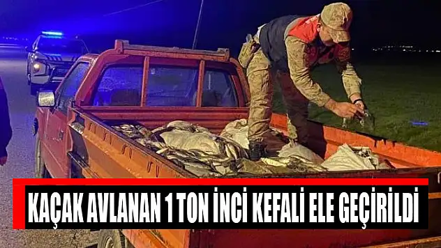 Kaçak avlanan 1 ton inci kefali ele geçirildi